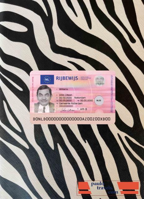 Netherland new driving license photolook FRONT PSD template